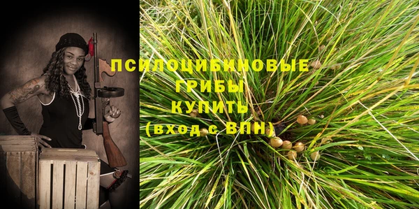 хмурый Армянск